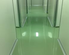 Waterborne polyurethane wall paint
